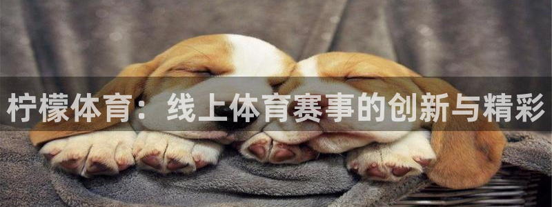 雨燕360体育直播故障解决：柠檬体育：线上体育赛事的创新与精彩